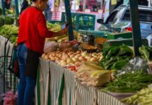 Guia Alimentar completa 20 anos de incentivo à comida de verdade