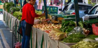 Guia Alimentar completa 20 anos de incentivo à comida de verdade