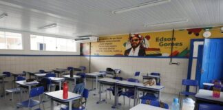 CNE Aprova Regras Para O Uso De Inteligência Artificial Em Escolas E Universidades