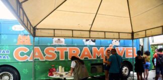 Castramóvel Da Prefeitura Oferece Serviços Gratuitos Neste Fim De Semana Castramóvel Da Prefeitura Oferece Serviços Gratuitos Neste Fim De Semana