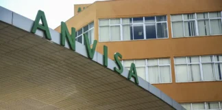 Plantas Medicinais: Anvisa Explica Diferenças, Indicações E Riscos Do Uso Irregular