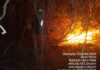 Incêndio Avança No Norte Da Bahia E Mobiliza Bombeiros E Duas Aeronaves Incêndio Avança No Norte Da Bahia E Mobiliza Bombeiros E Duas Aeronaves