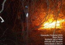 Incêndio Avança No Norte Da Bahia E Mobiliza Bombeiros E Duas Aeronaves Incêndio Avança No Norte Da Bahia E Mobiliza Bombeiros E Duas Aeronaves