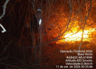 Incêndio Avança No Norte Da Bahia E Mobiliza Bombeiros E Duas Aeronaves Incêndio Avança No Norte Da Bahia E Mobiliza Bombeiros E Duas Aeronaves