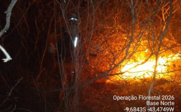Incêndio Avança No Norte Da Bahia E Mobiliza Bombeiros E Duas Aeronaves Incêndio Avança No Norte Da Bahia E Mobiliza Bombeiros E Duas Aeronaves