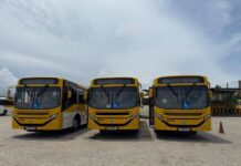 Ônibus Novos Já Estão Nas Ruas De Salvador; Veja Se Sua Linha Está Na Lista Ônibus Novos Já Estão Nas Ruas De Salvador; Veja Se Sua Linha Está Na Lista