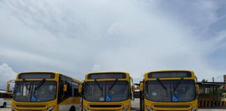 Ônibus Novos Já Estão Nas Ruas De Salvador; Veja Se Sua Linha Está Na Lista Ônibus Novos Já Estão Nas Ruas De Salvador; Veja Se Sua Linha Está Na Lista