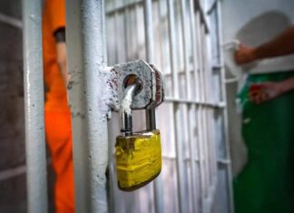 Fiscalização Sanitária Em Presídios Entra No Radar Da Anvisa; Entenda
