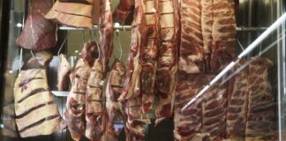 Cota chinesa faz exportação de carne bovina recuar 27,1% em agosto