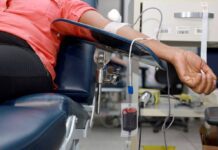 Testemunhas De Jeová Mudam Regra Sobre Sangue E Deixam Decisão Para Cada Fiel