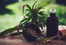 Para associações, normas ainda deixam pontos em aberto sobre cannabis