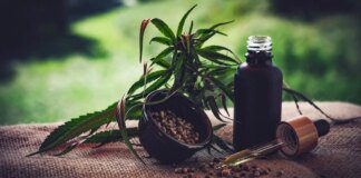 Para associações, normas ainda deixam pontos em aberto sobre cannabis