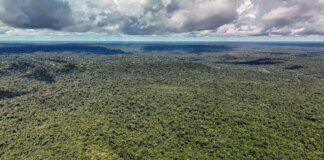 Fazenda autoriza crédito de US$ 1 bilhão do BID para Eco Invest Brasil
