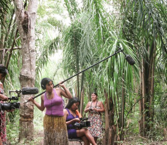 Saiba as propostas dos presidenciáveis para Amazônia e indígenas