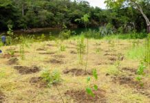 ECA Ambiental garante direito de acesso de jovens a áreas verdes