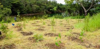 ECA Ambiental garante direito de acesso de jovens a áreas verdes