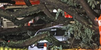 Chuvas fortes levam Defesa Civil a emitir mais de 50 alertas em SP