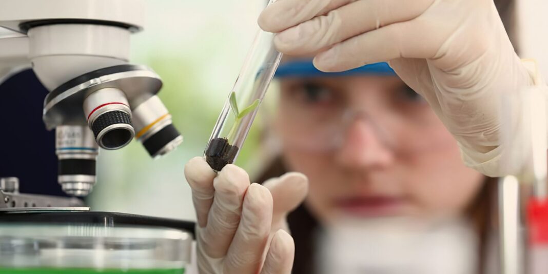 meninas_cientistas.jpg