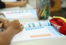 Censo Escolar 2026: dados da 1ª etapa podem ser conferidos até dia 11
