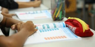 Censo Escolar 2026: dados da 1ª etapa podem ser conferidos até dia 11