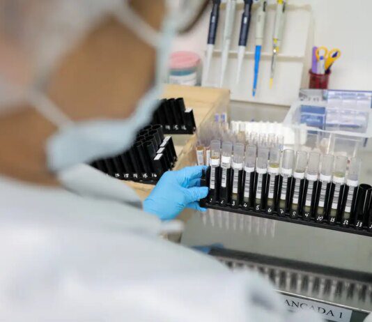 Malária: Anvisa autoriza teste em humanos de vacina 100% brasileira
