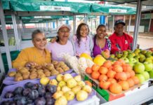 Agricultores Da Bahia Têm Até Quarta Para Se Inscrever No Garantia-Safra Agricultores Da Bahia Têm Até Quarta Para Se Inscrever No Garantia-Safra