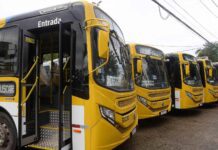 Após Quatro Dias, ônibus Voltam A Circular No Vale Das Pedrinhas Após Quatro Dias, ônibus Voltam A Circular No Vale Das Pedrinhas