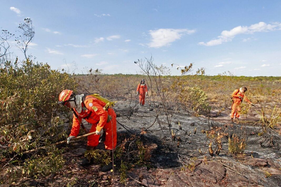 Bahia Prevê Temperaturas Acima De 41 °C E Reforça Alertas De Calor E Incêndios