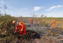 Bahia Prevê Temperaturas Acima De 41 °C E Reforça Alertas De Calor E Incêndios Bahia Prevê Temperaturas Acima De 41 °C E Reforça Alertas De Calor E Incêndios