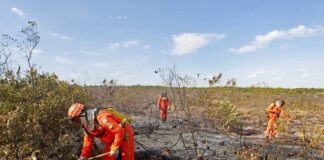 Bahia Prevê Temperaturas Acima De 41 °C E Reforça Alertas De Calor E Incêndios Bahia Prevê Temperaturas Acima De 41 °C E Reforça Alertas De Calor E Incêndios