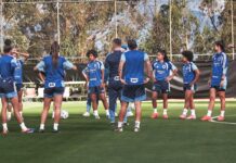 Estreante, Cruzeiro será 15º brasileiro na Libertadores Feminina Estreante, Cruzeiro será 15º brasileiro na Libertadores Feminina