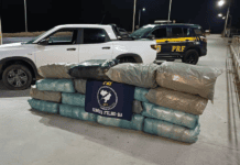 PRF Apreende 140 Kg De Maconha Em Veículo Na BR-324 PRF Apreende 140 Kg De Maconha Em Veículo Na BR-324