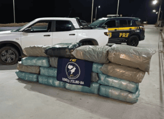 PRF Apreende 140 Kg De Maconha Em Veículo Na BR-324 PRF Apreende 140 Kg De Maconha Em Veículo Na BR-324