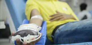 Novas regras para doação de sangue entram em vigor no Brasil