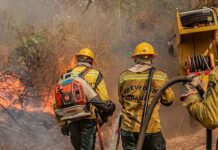 Fiocruz analisa impacto das queimadas na saúde indígena no Amazonas