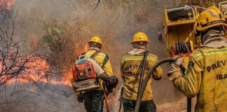 Fiocruz analisa impacto das queimadas na saúde indígena no Amazonas