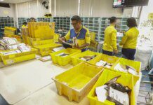 AliExpress e Correios firmam acordo para acelerar entregas no Brasil