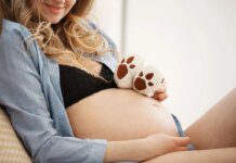 Funcionária exige licença-maternidade para cuidar de filhote de cachorro