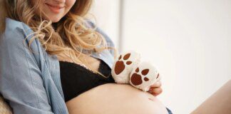 Funcionária exige licença-maternidade para cuidar de filhote de cachorro