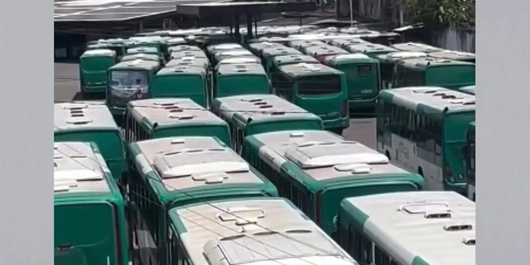 onibus03.jpg