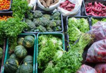 Segurança alimentar exige esforço coletivo e articulação