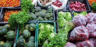 Segurança alimentar exige esforço coletivo e articulação