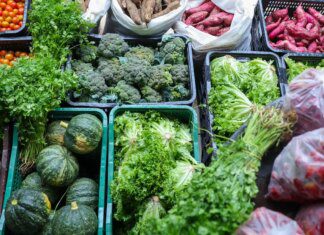 Segurança alimentar exige esforço coletivo e articulação