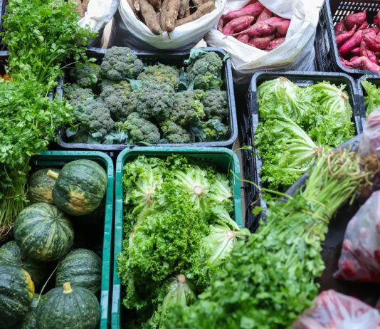 Segurança alimentar exige esforço coletivo e articulação