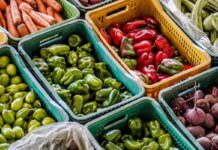 Dia Mundial da Alimentação: inovação pode garantir nutrição no futuro
