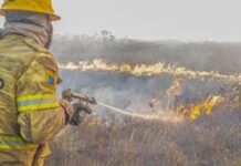 Forças federais e estaduais trabalham contra queimadas no Amazonas