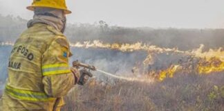 Forças federais e estaduais trabalham contra queimadas no Amazonas