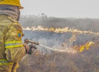 Forças federais e estaduais trabalham contra queimadas no Amazonas