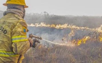 Forças federais e estaduais trabalham contra queimadas no Amazonas