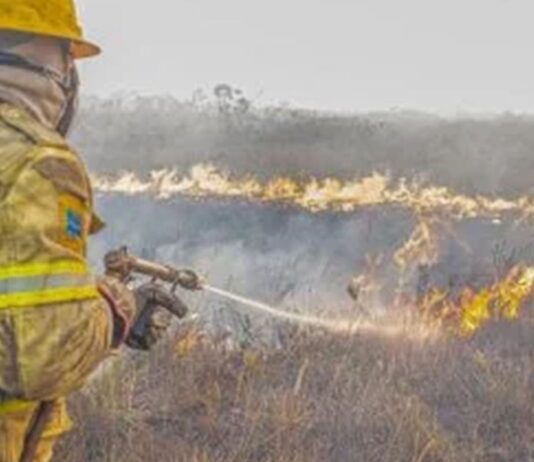 Forças federais e estaduais trabalham contra queimadas no Amazonas